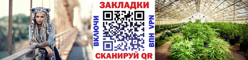 Наркошоп Сланцы СК ГЕРОИН ГАШ