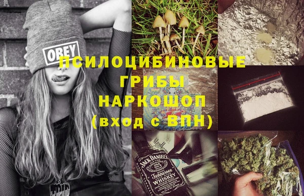 крисы Белоозёрский