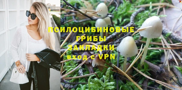 меф Белокуриха