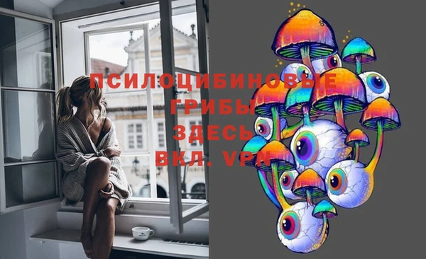 крисы Белоозёрский