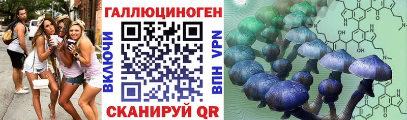 как найти наркотики  kraken как войти  Галлюциногенные грибы MAGIC MUSHROOMS  Сланцы 