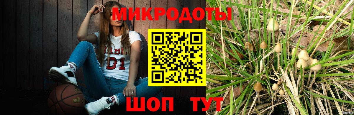 Галлюциногенные грибы Cubensis  Вход с VPN  Галлюциногенные грибы прущие грибы  купить наркоту  Сланцы 