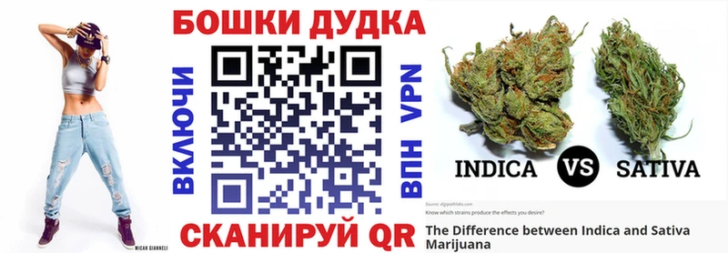 Бошки Шишки сатива Сланцы